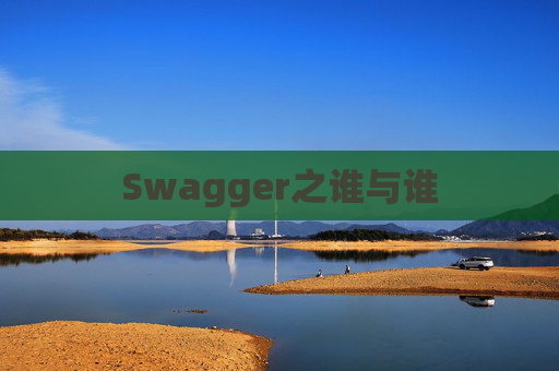 Swagger之谁与谁